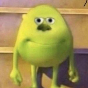 Meet your Posher, Ray